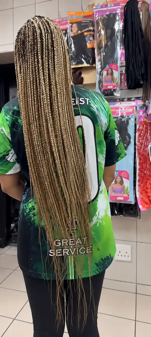 Knotless Braids example 2